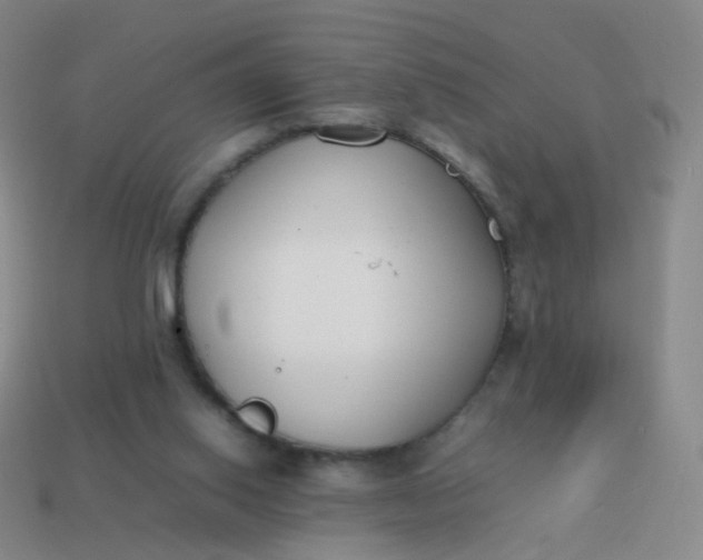 X0000113870062200910081735