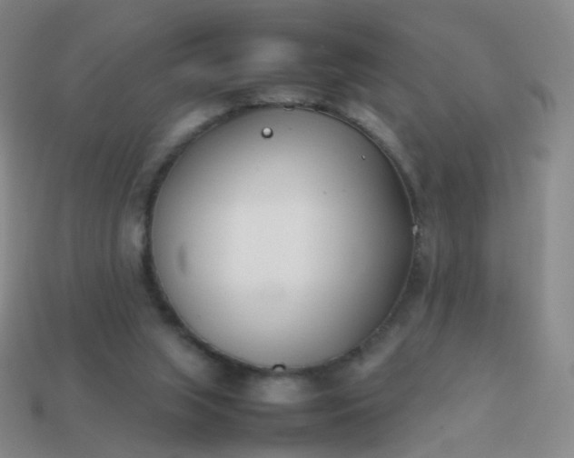 X0000113870063200910081735