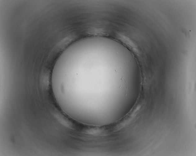 X0000113870065200910081735