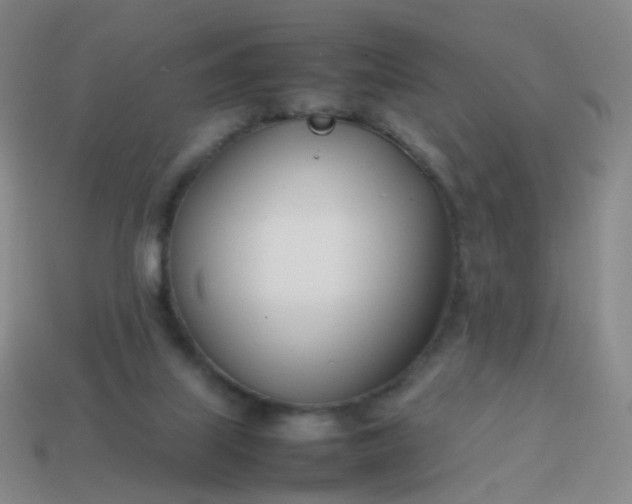 X0000113870067200910081735