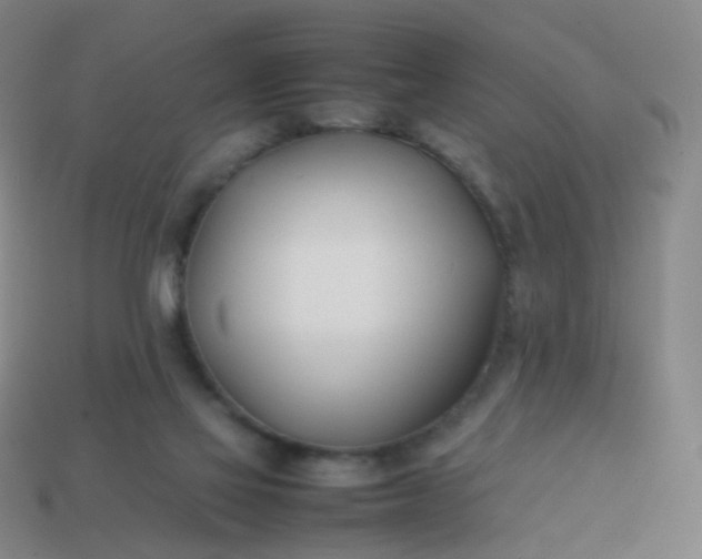 X0000113870069200910081735