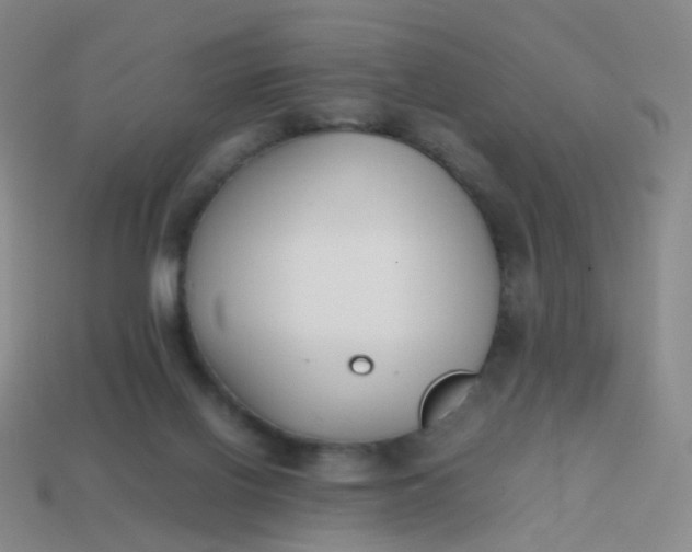 X0000113870070200910081735