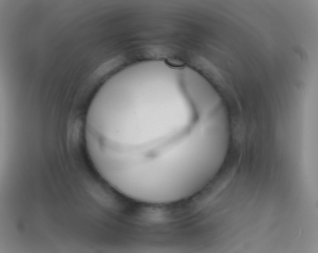 X0000113870071200910081735