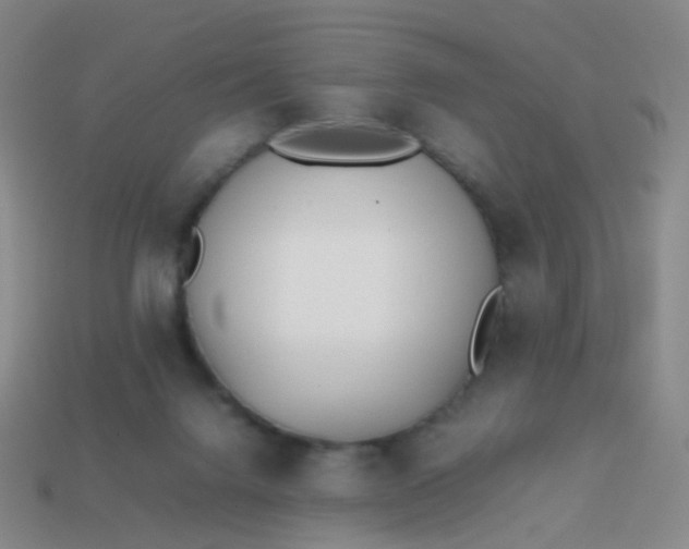 X0000113870072200910081735