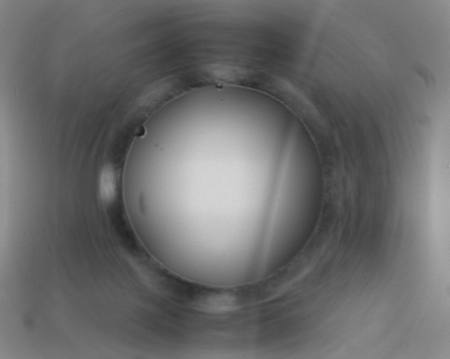 X0000113870075200910081735