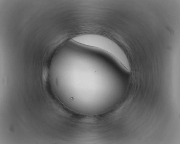 X0000113870076200910081735