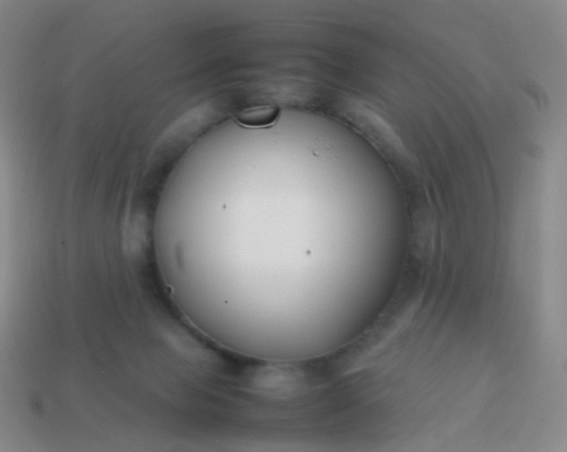 X0000113870077200910081735