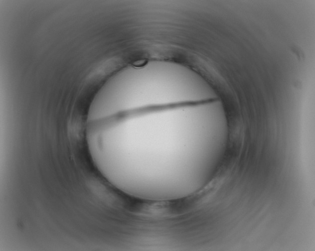 X0000113870078200910081735