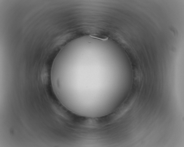 X0000113870080200910081735