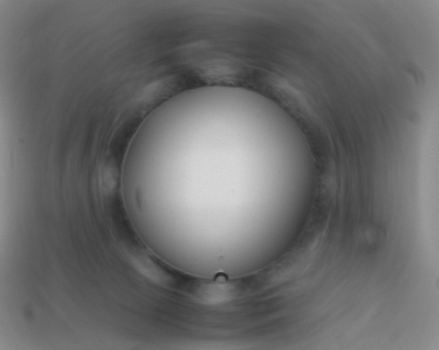 X0000113870081200910081735