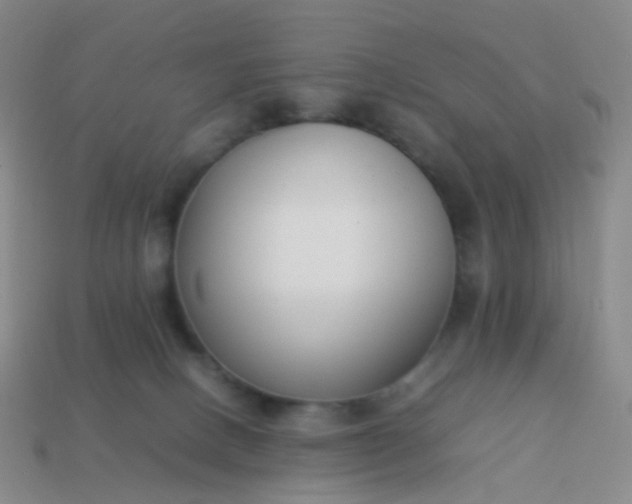 X0000113870082200910081735