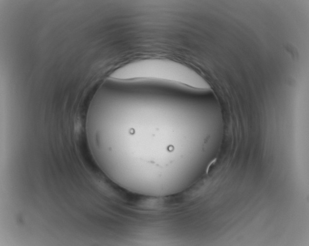 X0000113870084200910081735