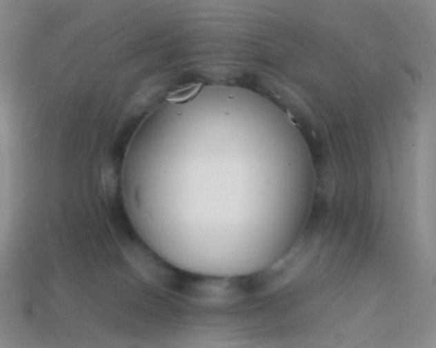 X0000113870086200910081735