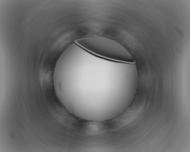 X0000113870088200910081735