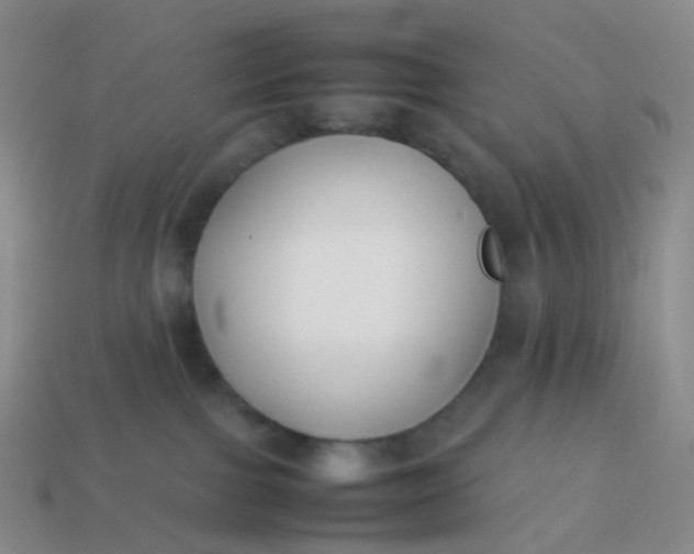 X0000113870091200910081735