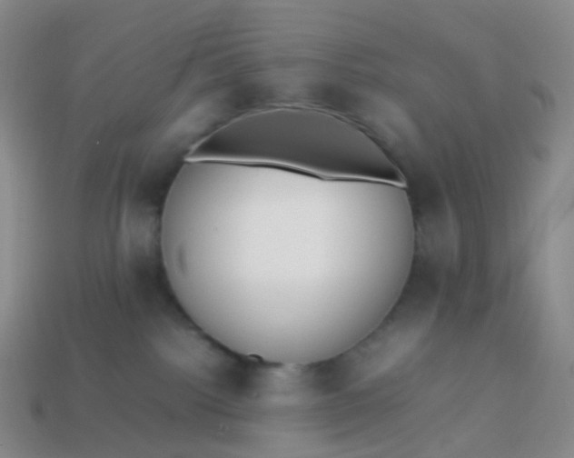 X0000113870092200910081735