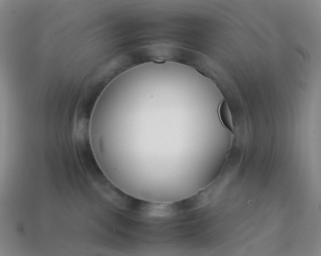 X0000113870093200910081735