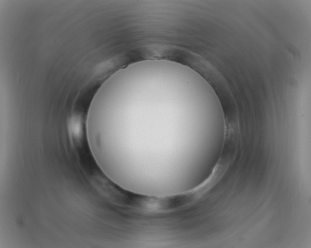 X0000113870094200910081735