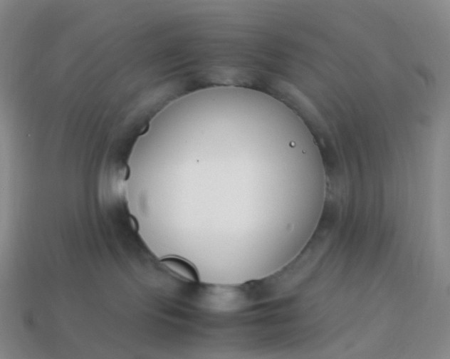 X0000113870095200910081735