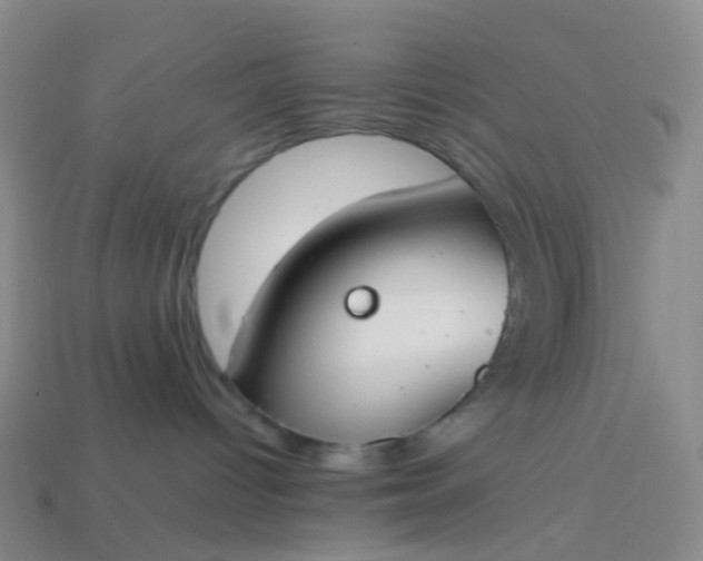 X0000113870096200910081735