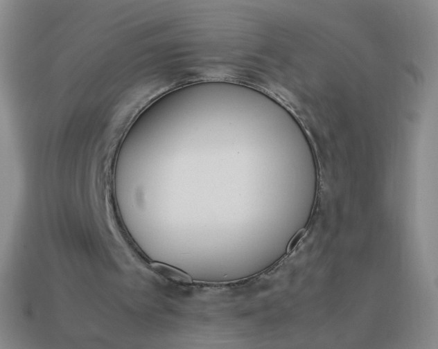 X0000113870097200910081735