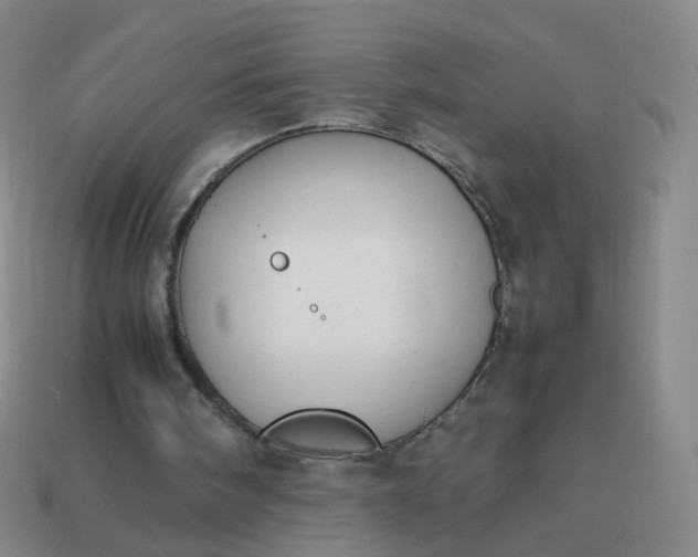 X0000113870098200910081735