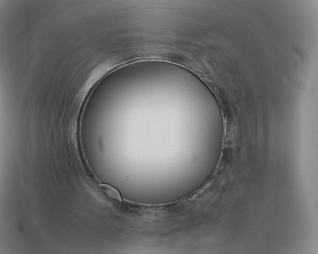 X0000113870099200910081735