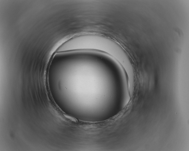 X0000113870100200910081735