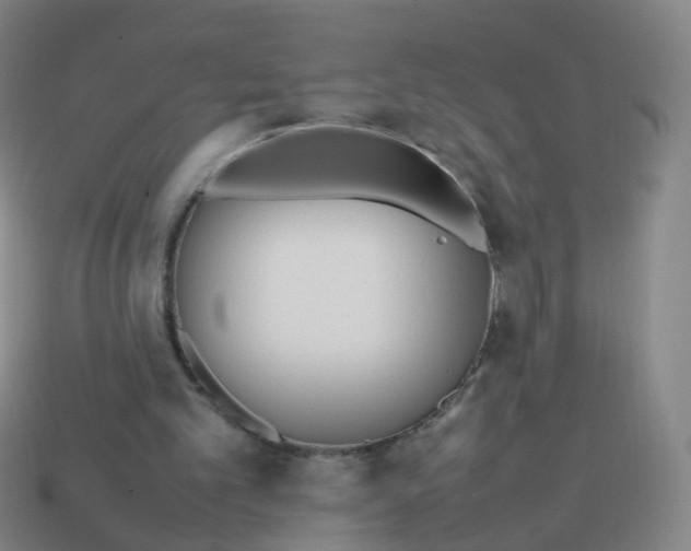 X0000113870101200910081735