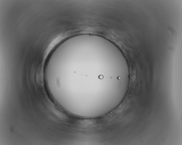 X0000113870102200910081735