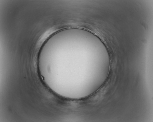 X0000113870103200910081735