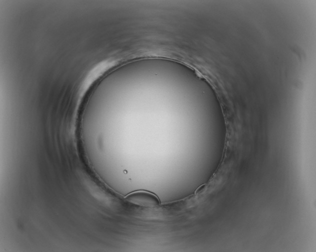 X0000113870104200910081735