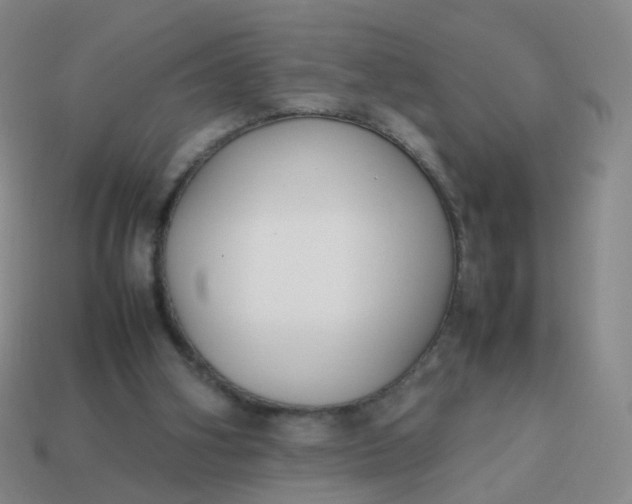 X0000113870106200910081735