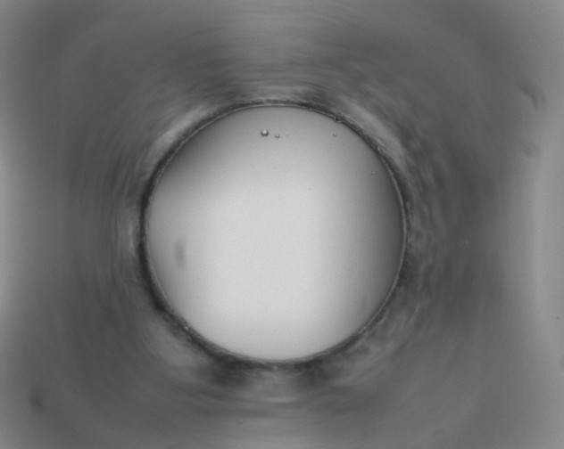 X0000113870107200910081734