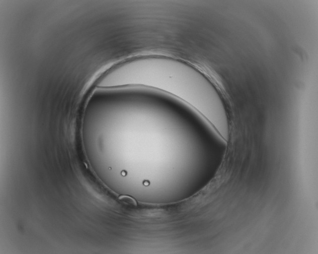 X0000113870108200910081734