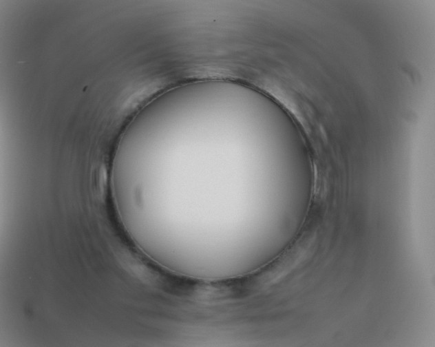 X0000113870109200910081734