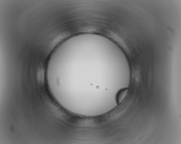 X0000113870110200910081734