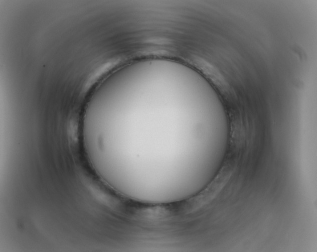 X0000113870112200910081734