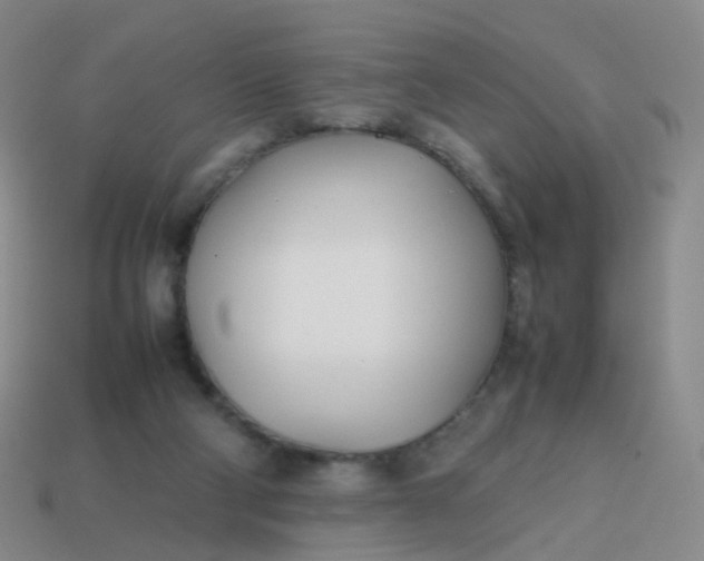 X0000113870114200910081734