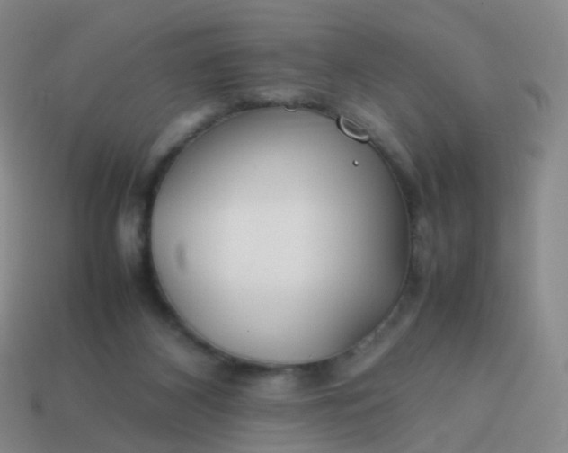 X0000113870116200910081734