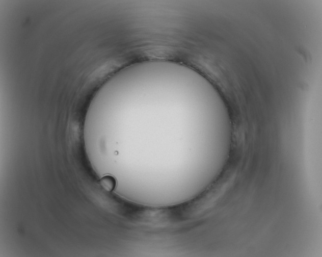 X0000113870117200910081734