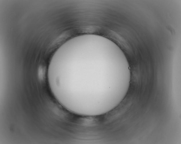 X0000113870118200910081734