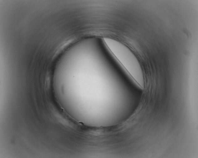 X0000113870120200910081734