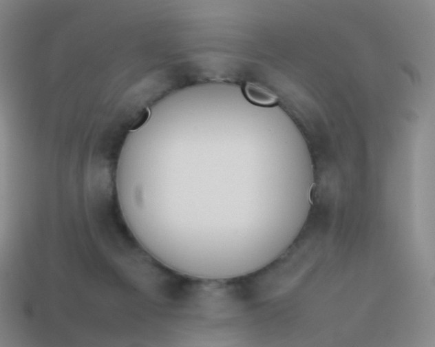 X0000113870121200910081734