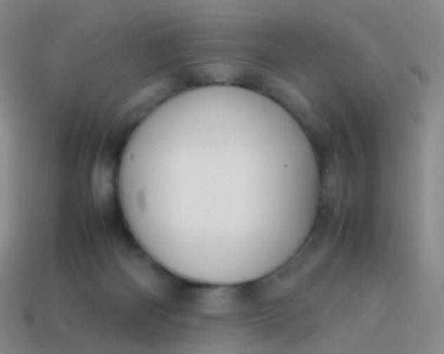 X0000113870122200910081734