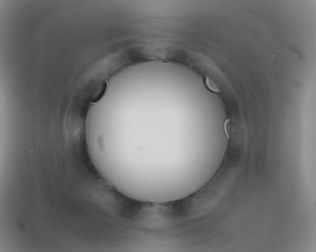 X0000113870125200910081734