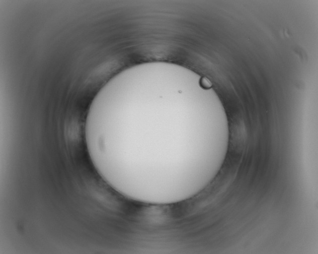 X0000113870126200910081734