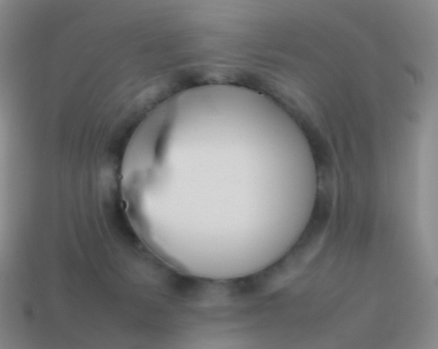 X0000113870127200910081734