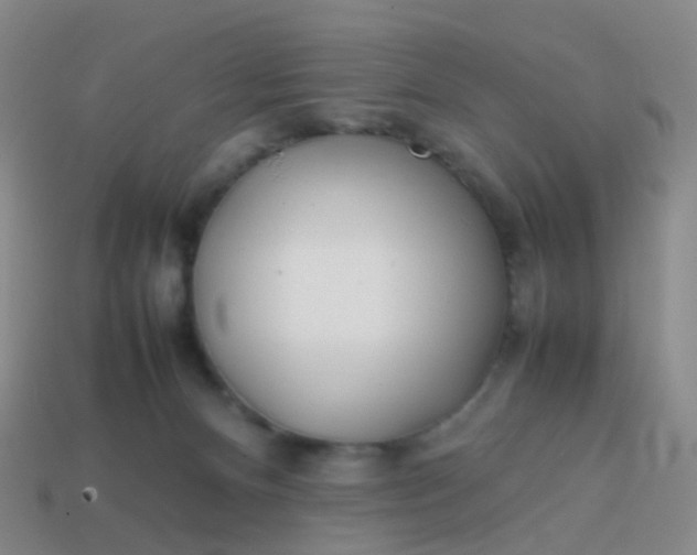 X0000113870128200910081734