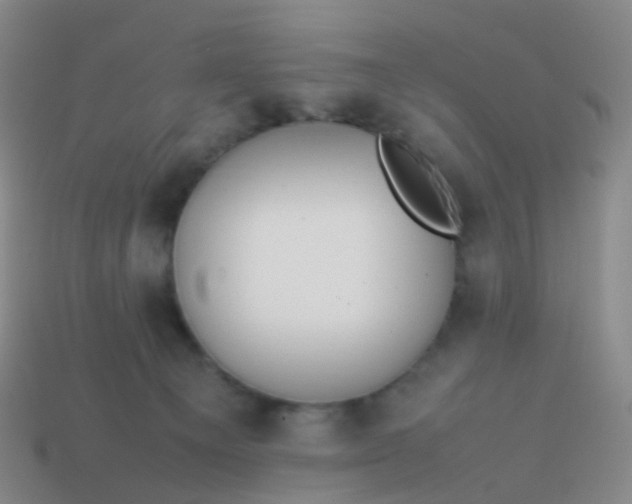 X0000113870129200910081734